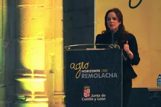 Ayudas públicas y la alta productividad de la remolacha, determinantes para el futuro del sector en un escenario sin cuotas
