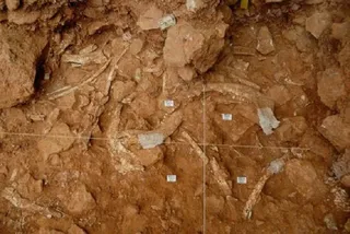 Atapuerca. Excavación, foto de archivo
