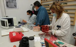 Cursos Instituto de las Identidades Diputación de Salamanca (7)