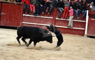 La Comisión del Carnaval inicia la ronda de visitas a las ganaderías