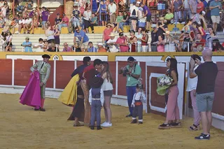 Toros en Peñaranda