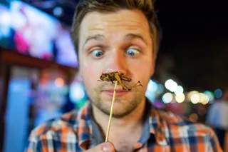 Un insecto para comer en una brocheta | Foto: EP