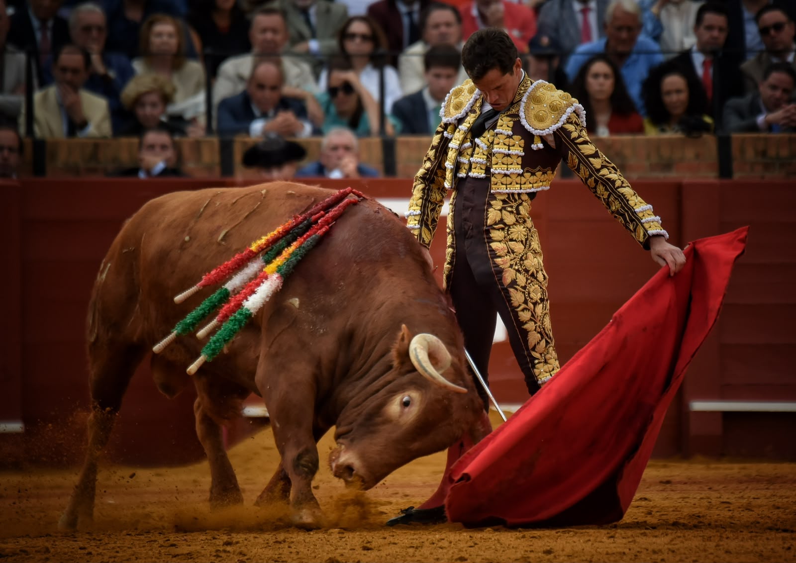Daniel Luque en La Maestranza de Sevilla | Fotograf&iacute;a M&eacute;lanie Huertas, prensa Daniel Luque