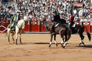 Rui Fernandes, Diego Ventura y Guillermo Hermoso rejonean en Salamanca