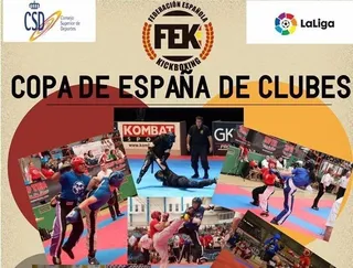 Más de 30 salmantinos participan en el Campeonato de España de Clubes de Tatami Sport
