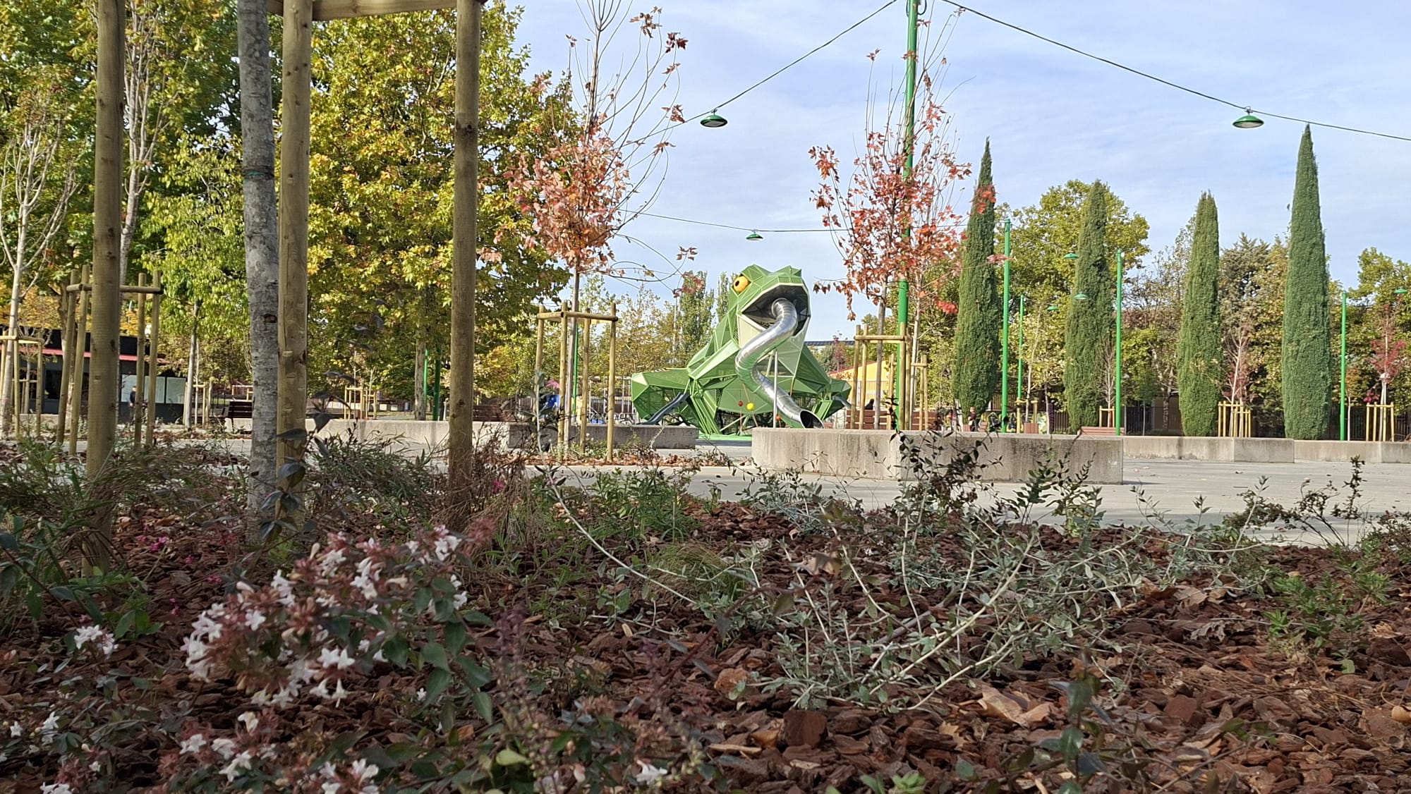 Rana en el parque de Würzburg en fotos facilitadas por el Ayuntamiento de Salamanca