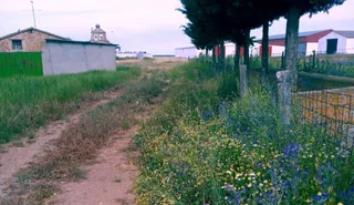 Situación de un camino de Canillas de Abajo