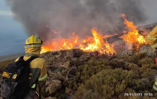 Incendio en Candelario declarado el 28 de marzo | FOTO: BRIF PINOFRANQUEADO