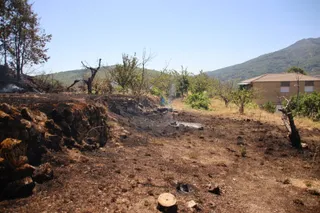 Incendio forestal en Cepeda
