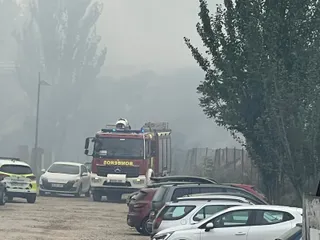 Incendio en el paseo Fluvial (1)