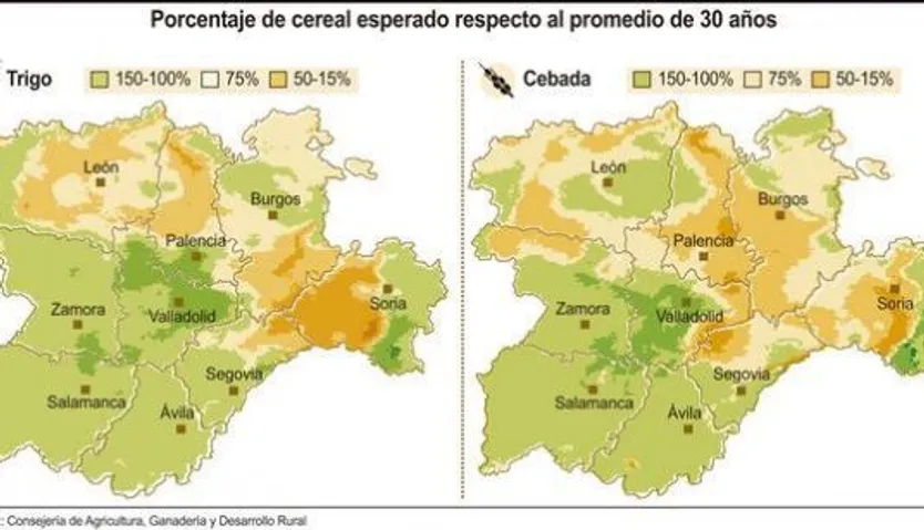 08PRN202405648304