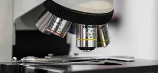 Aumenta el número de investigadores de la Universidad de Salamanca en el ranking de Stanford. Comunicación USAL