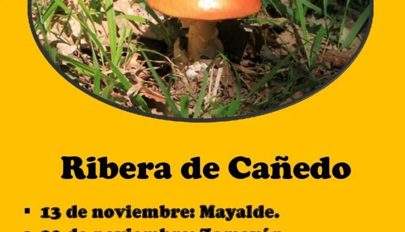 Cartel Ribera de Cañedo