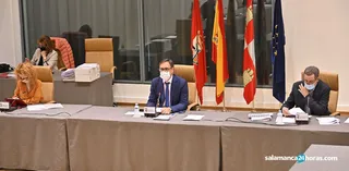 Pleno Municipal | Foto de archivo: S24H