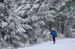 Nieve en la Sierra de Béjar el pasado 1 de enero. | FOTO: ICAL