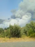 Incendio entre Trabanca y Fermoselle