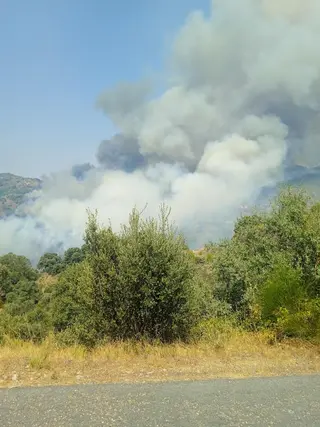 Incendio entre Trabanca y Fermoselle