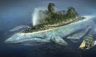 SanBronodones