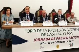 IMG 20191015 141430