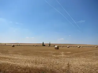 Parcela cosechada y con pacas de paja