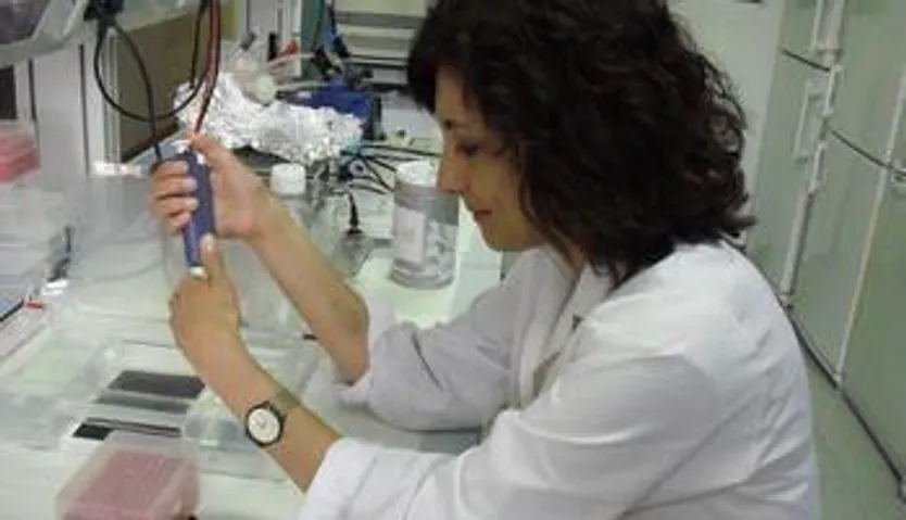 Mercedes Durán, responsable de la línea de genética del cáncer colorrectal del IBGM. Foto Dicyt