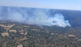 Imagen del incendio de Fermoselle a fecha de 1 de agosto | INFORCYL