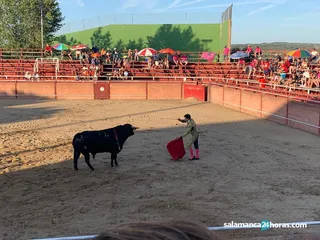 Novillada en Masueco (15)