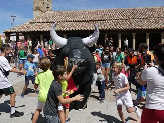 Segunda jornada Fiestas San Roque Carbajosa (16)