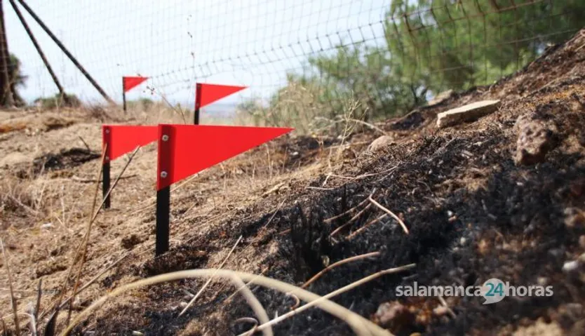 Investigación de incendios