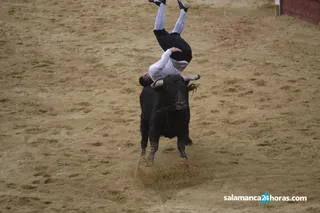 Recortadores carnaval toro (32)