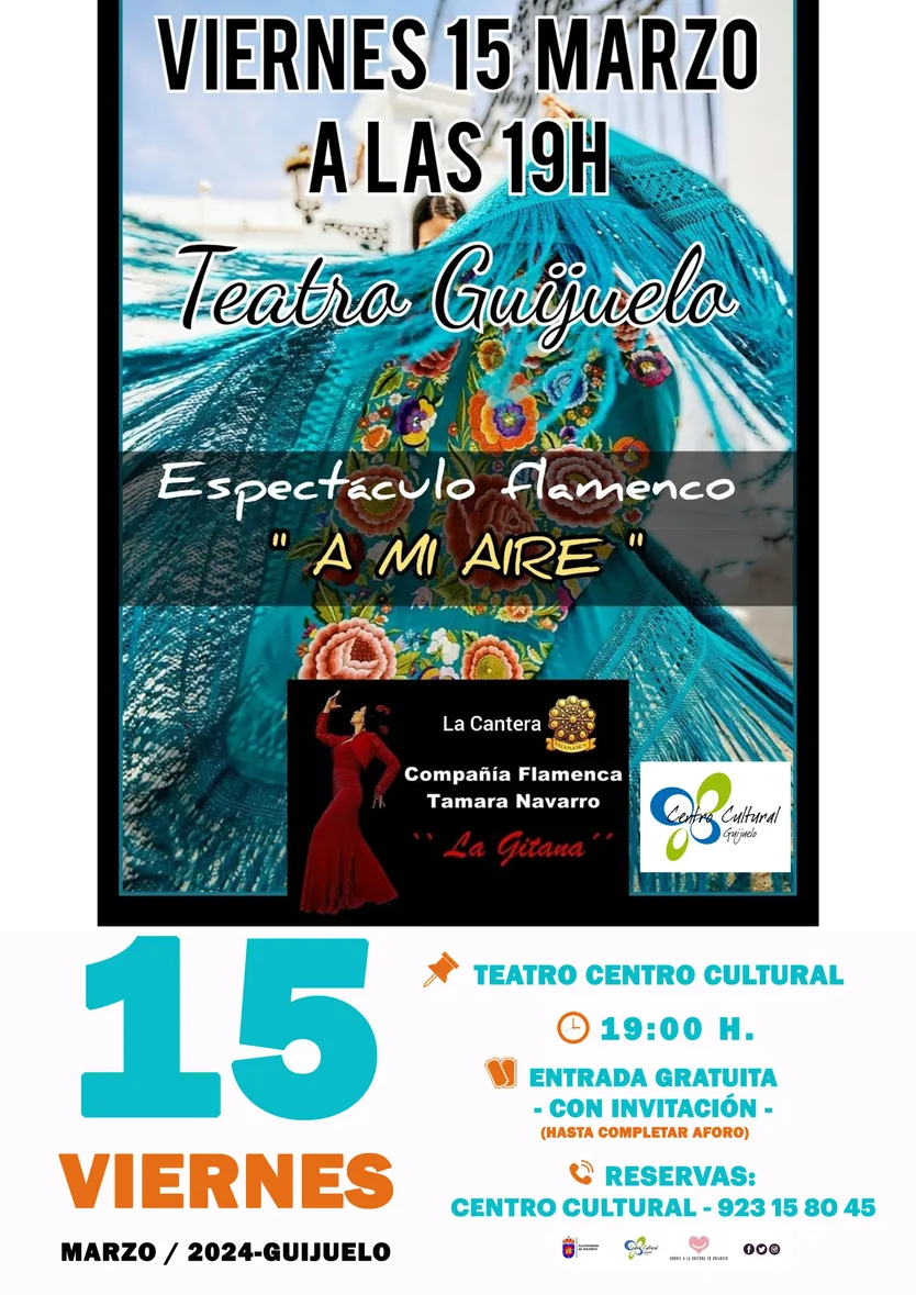 CARTEL AIRE ESPECTÁCULO FLAMENCO