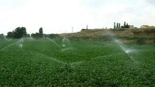 El recrecido del primer ramal  del Canal Oeste supera el trámite medioambiental