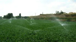 El recrecido del primer ramal del Canal Oeste supera el trámite medioambiental