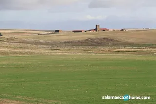 Campo septiembre (1)