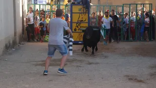 Fiestas en Topas 2017: toro de cajón