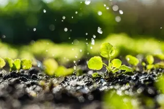 Agua para riego