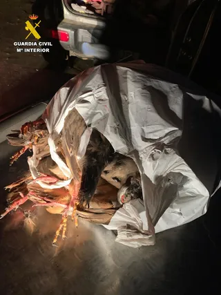 La Guardia Civil de Salamanca intercepta a un cazador furtivo en La Tala | Guardia Civil Salamanca