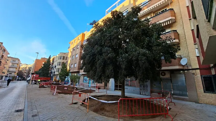 Obras en la calle Gütenberg