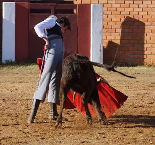 Alejandro Marcos y Manuel Diosleguarde participan en un tentadero en la ganadería salmantina de Valdefresno