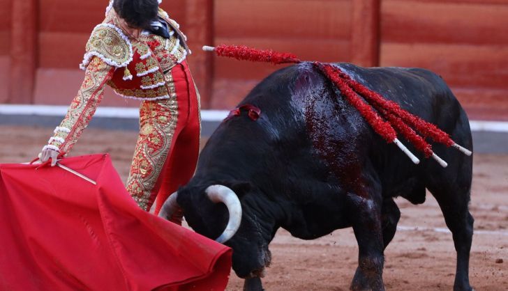 Derechazo de Antonio Grande