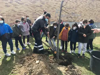 Plantación de árboles en Villamayor