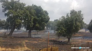 Incendio valdelosa (7)