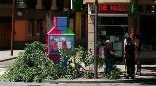 Susto en la plaza del Oeste por la caída de un frondosa rama