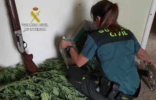 marihuana y efectos localizados en el domicilio de fermoselle