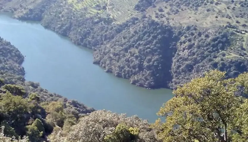 Vilvestre