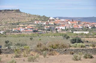 Vilvestre concentracion parcelaria