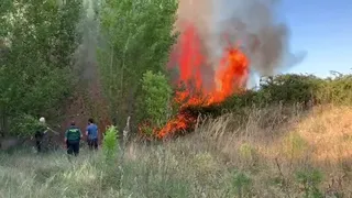 WhatsAppVideo20190530at19.38.44