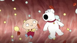 Fotograma del vídeo