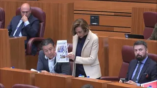 Alicia Gallego (UPL), denunciando en Cortes los problemas de la sanidad salmantina