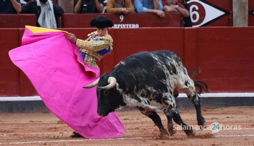 GALERÍA | Novillada de Lorenzo Espioja: momentos más destacados del tercer festejo de abono de la Feria Taurina Virgen de la Vega 2023. Fotos Andrea M.
